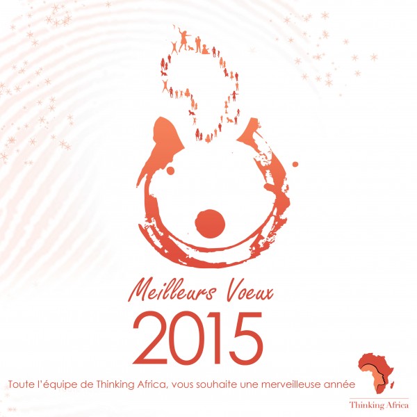 Toute l'équipe de Thinking Africa vous souhaite une merveilleuse année 2015.