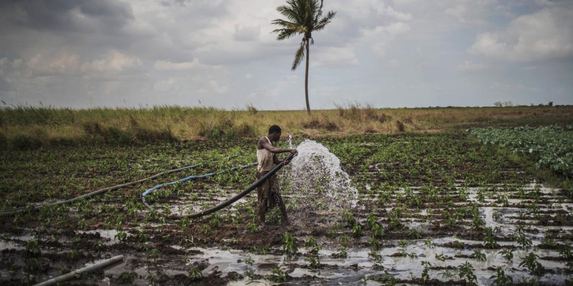 P@nser demain  quelles voi(es)/(x) pour l’agronumérique en Afrique